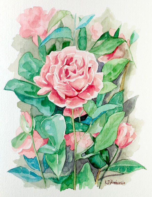 Rosa 2 