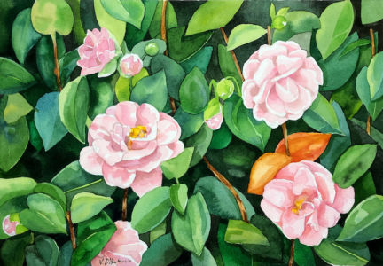Fiori 2