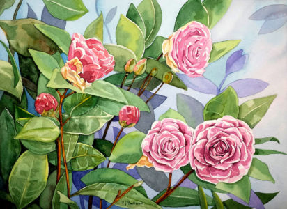 Fiori 7 