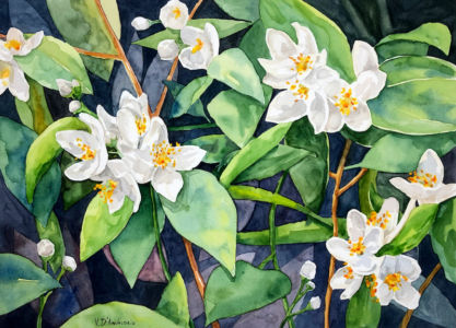 Fiori 6