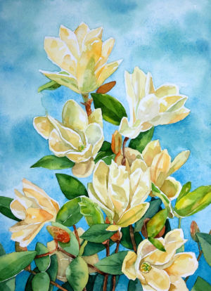 Magnolie 1 