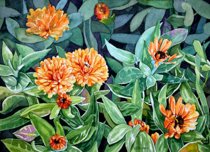 Fiori 5
