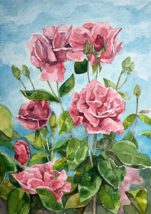 Rose 