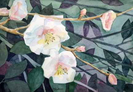 Fiori 10 