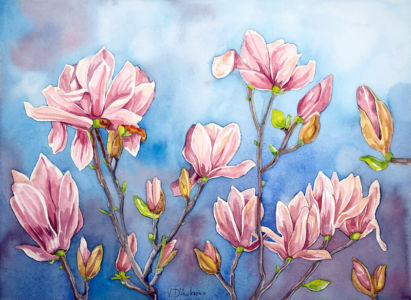 Magnolie 4 