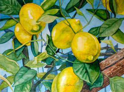 Limoneto